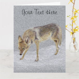 Carte postale Coyote