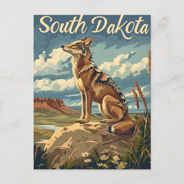 Carte Postale Coyote du Dakota du Sud (Devant)