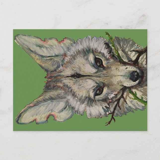 carte postale coyote par faceliketank (Devant)