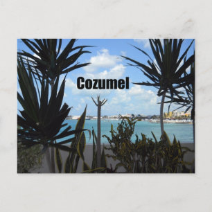 Carte Postale Cozumel