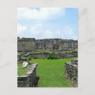 Carte Postale Cozumel Mexique