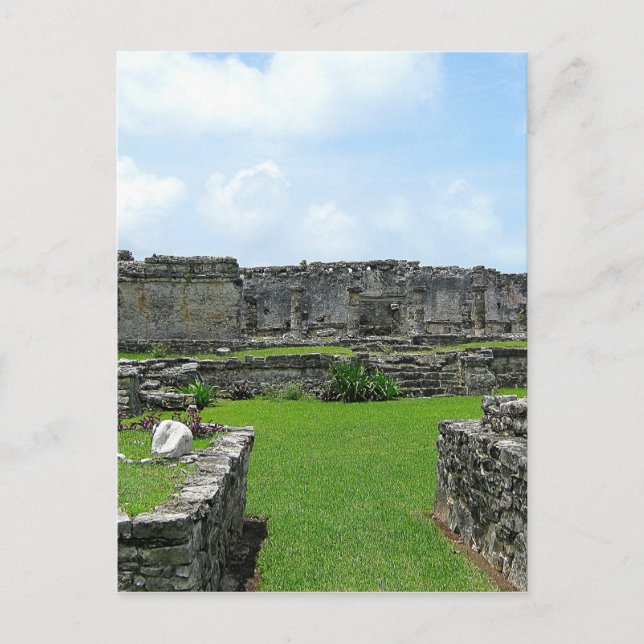 Carte Postale Cozumel Mexique (Devant)