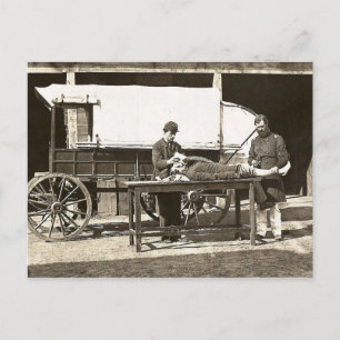 Carte Postale cp1563 Wagon Médicale de l'armée