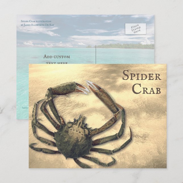 Carte Postale Crabe araignée Illustré Personnalisé Toutes les oc (Devant / Derrière)