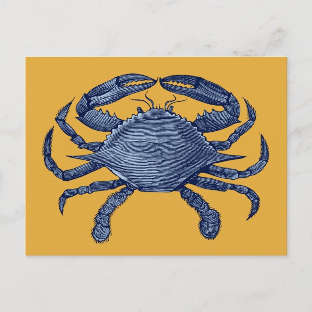 Carte Postale Crabe bleu (Devant)