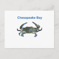 Crabe bleu de la baie Chesapeake