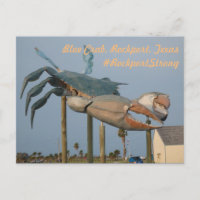 Crabe bleu - Rockport, Texas