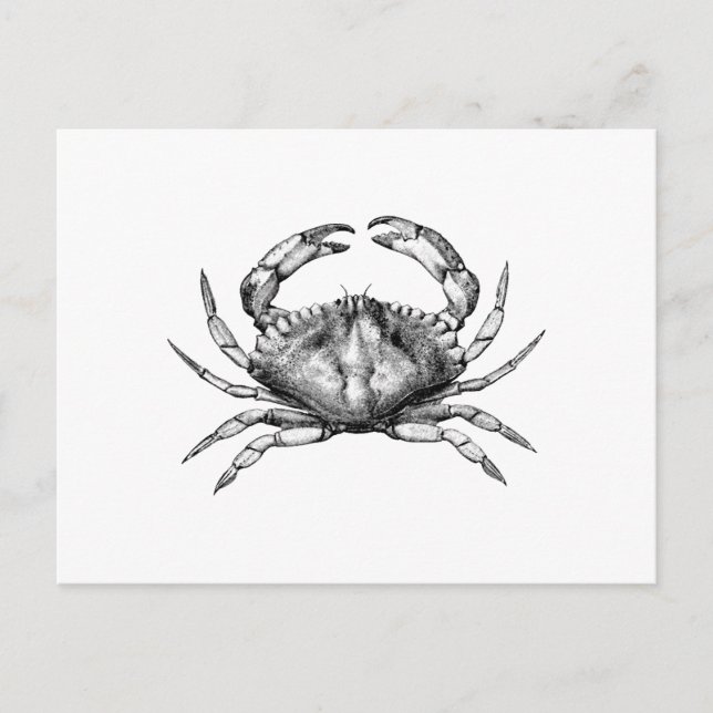 Carte Postale Crabe de Rocher Rouge (Pacifique) (Devant)