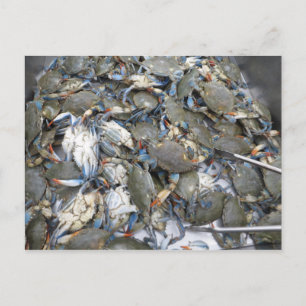 Carte Postale Crabes