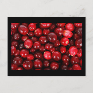 Carte Postale Cranberry