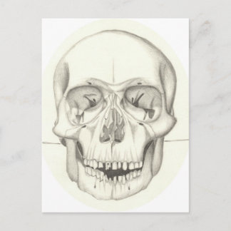 Carte postale crâne