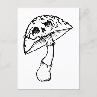 Carte Postale crâne de champignon