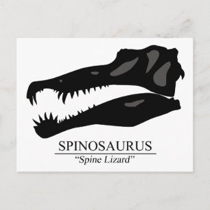 Carte Postale Crâne de spinosaurus