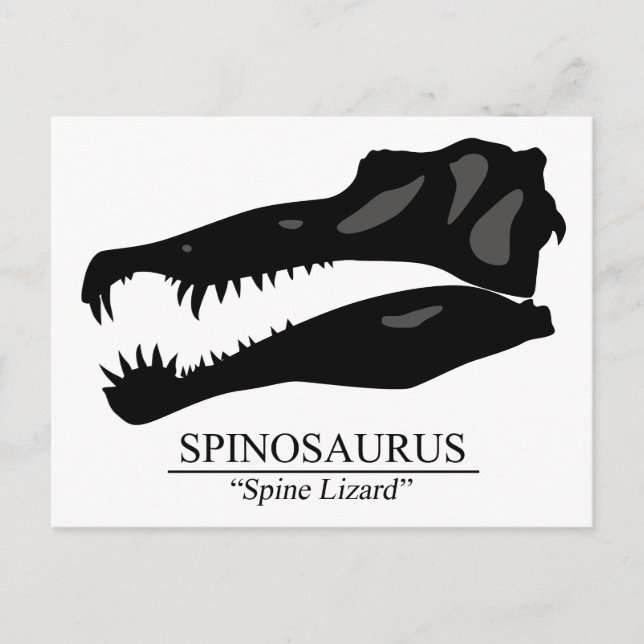 Carte Postale Crâne de spinosaurus (Devant)