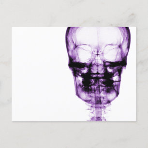 Carte Postale Crâne de vision à rayons X - pourpre