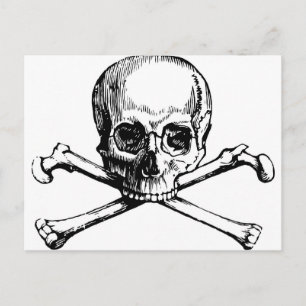 Carte Postale Crâne et os