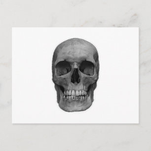 Carte Postale Crâne noir et blanc