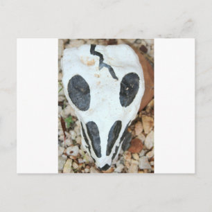 Carte Postale crâne peint
