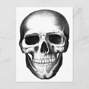 Carte Postale Crâne Skeleton Tête Effrayant Halloween Déplaisant