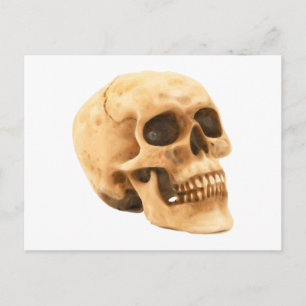 Carte Postale Crâne Totenkopf Schädel