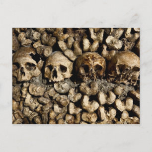 Carte postale Crânes et os Catacombes de Paris