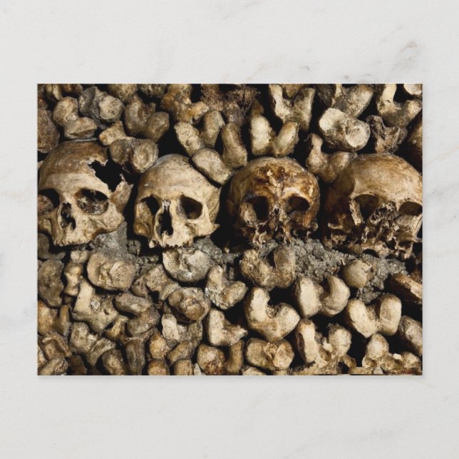 Carte postale Crânes et os Catacombes de Paris (Devant)