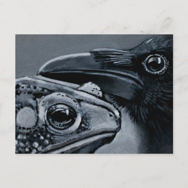 Carte Postale Crapaud et corneille (Devant)