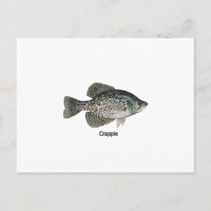 Carte Postale Crappie (titre)