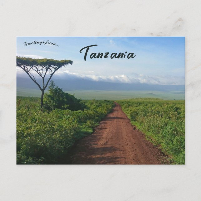 Carte Postale Cratère du Ngorongoro Tanzanie (Devant)