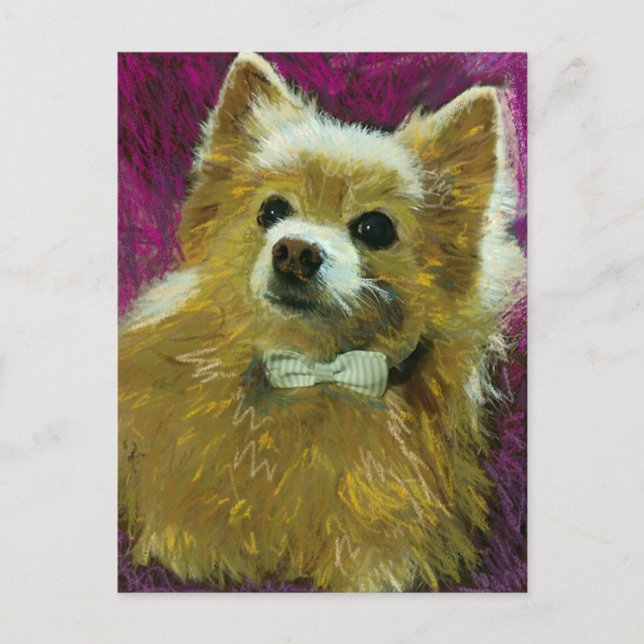 Carte Postale Cravate inférieure no 2 (Devant)