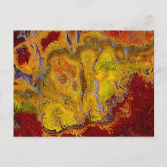 Carte Postale Crayola Jasper (Devant)