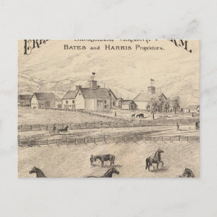 Carte Postale Cream Hill Ferme Stock à Shoreham dans le Vermont