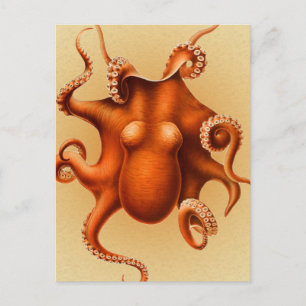 Carte Postale Créature du monstre de la mer d'Octopus Cephalapod