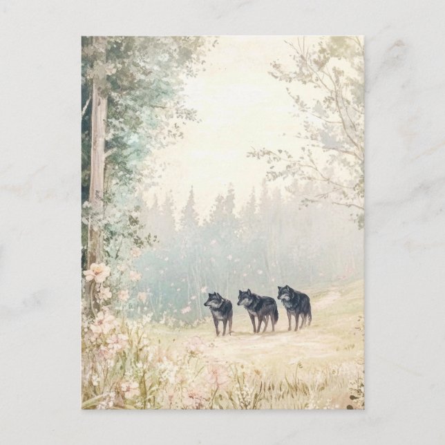 Carte Postale Créatures des bois (Devant)