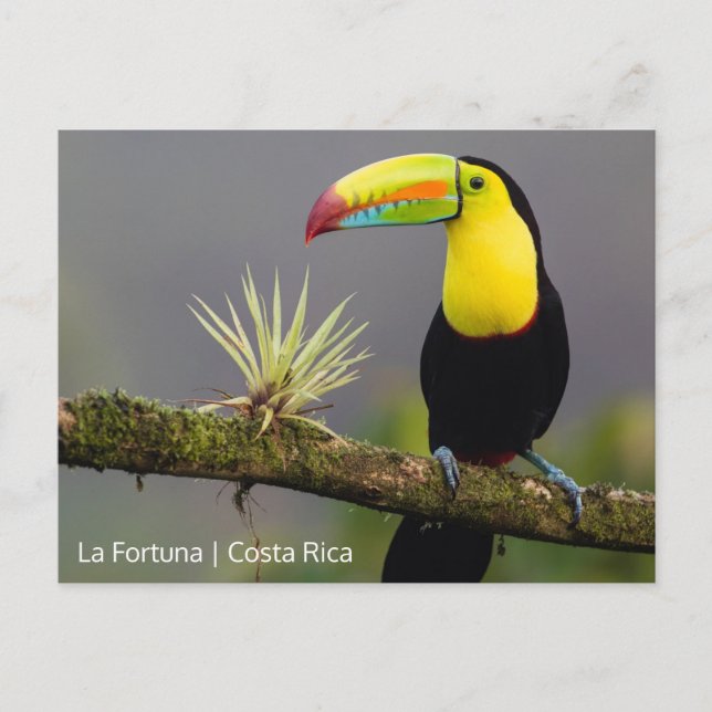 Carte Postale Créer votre propre photo Costa Rica (Devant)