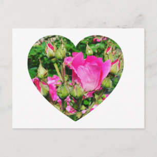 Carte Postale Créez votre propre forme de coeur photo