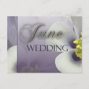 Carte Postale Créez votre propre Mariage de juin violet