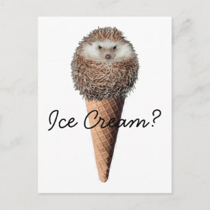 Carte Postale Crème de glace de hérisson