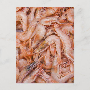 Carte Postale Crevettes