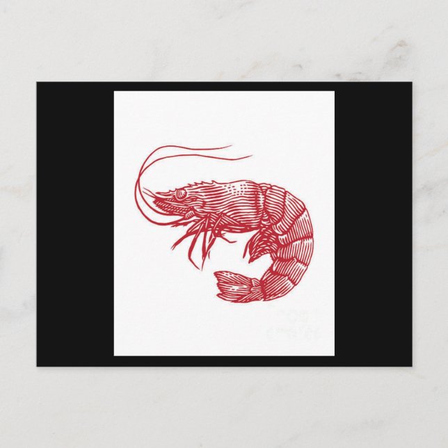Carte Postale Crevettes de homard rouge (Devant)