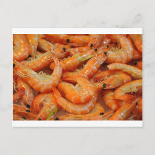 Carte Postale Crevettes roses de crevette