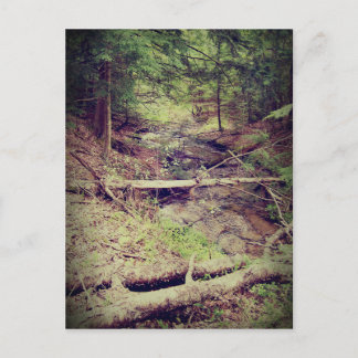 Carte Postale Crique de la péninsule Upper