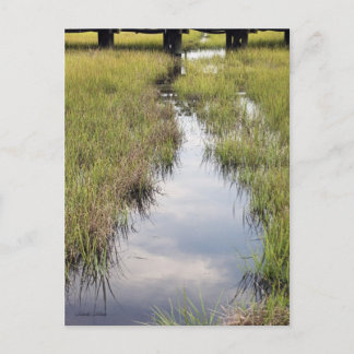 Carte Postale Crique de Tidal