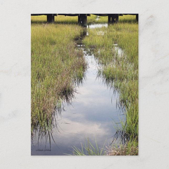 Carte Postale Crique de Tidal (Devant)