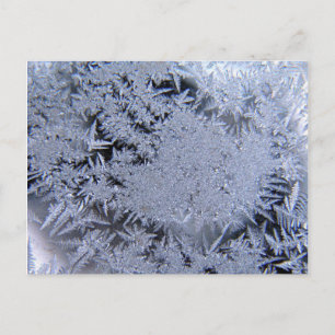 Carte Postale cristaux de glace