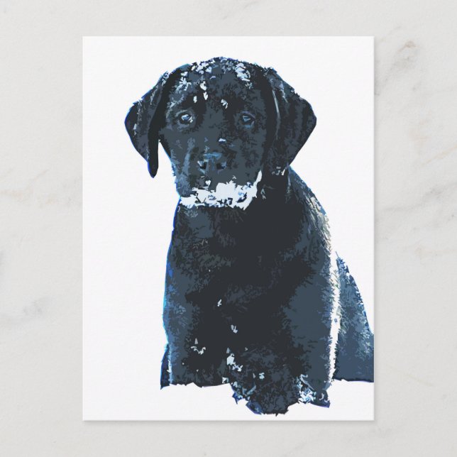 Carte Postale Cristaux de neige - Labrador de neige - Black Lab  (Devant)