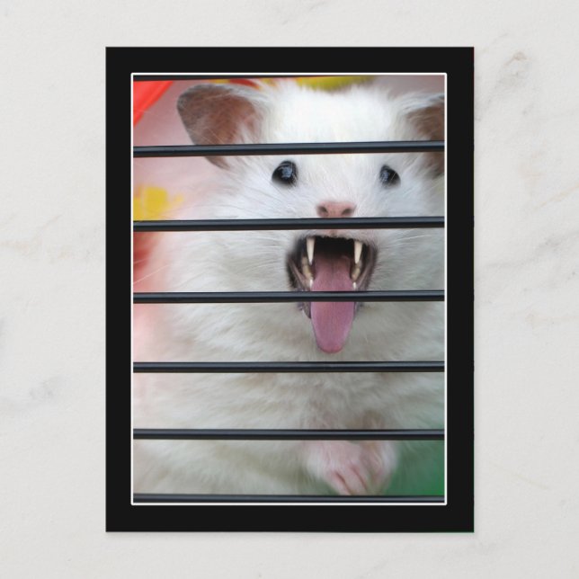 Carte Postale Critère est un hamster moyen (Devant)