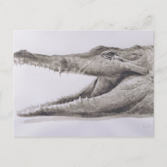 Carte Postale Crocodile 2005 (Devant)