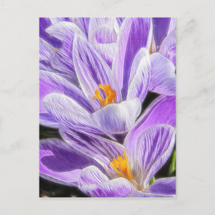 Carte Postale Crocus à rayures pourpres pérennes