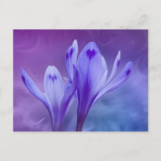 Carte Postale crocus bleu